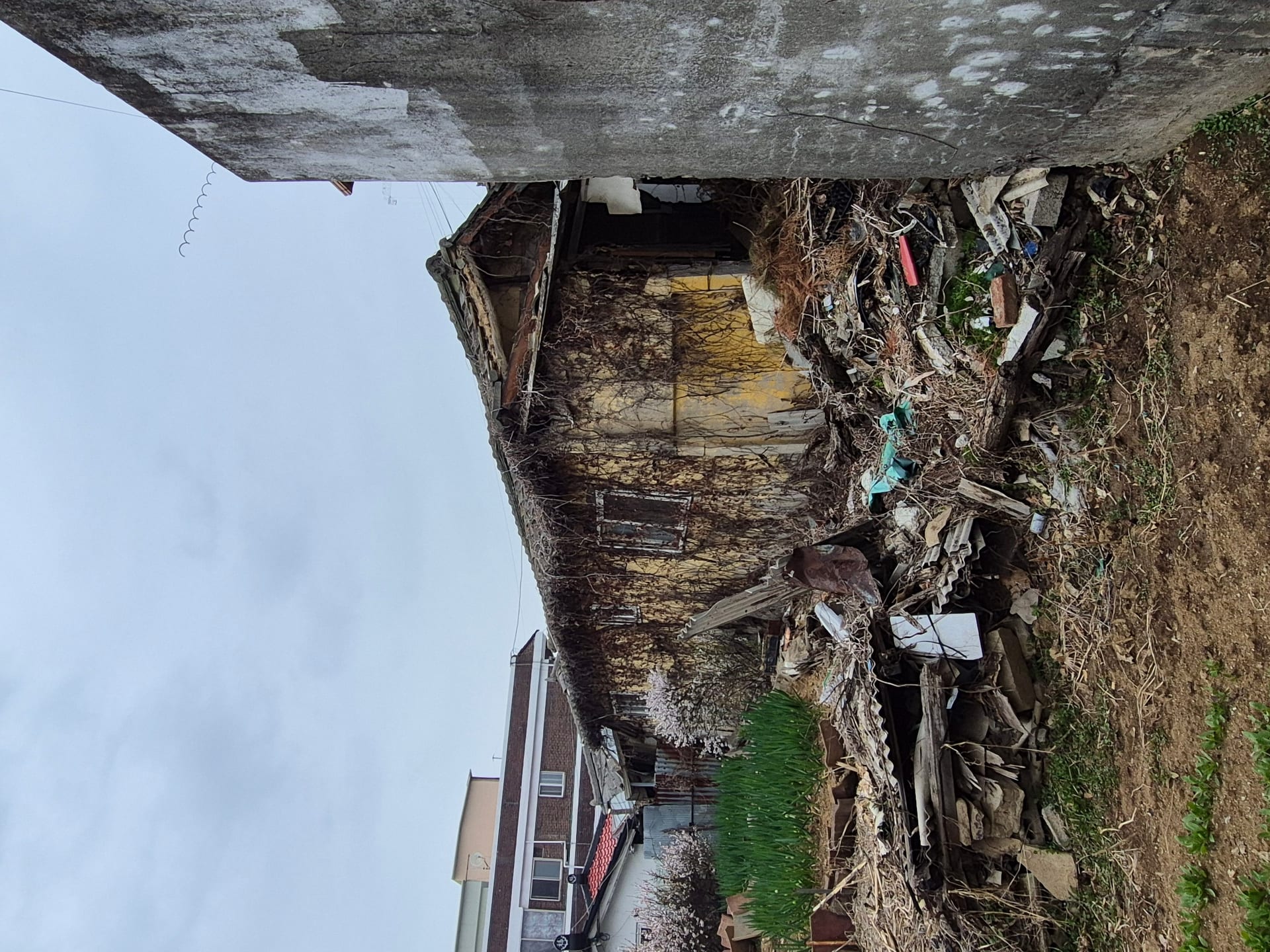 *Affordable house needing full renovation