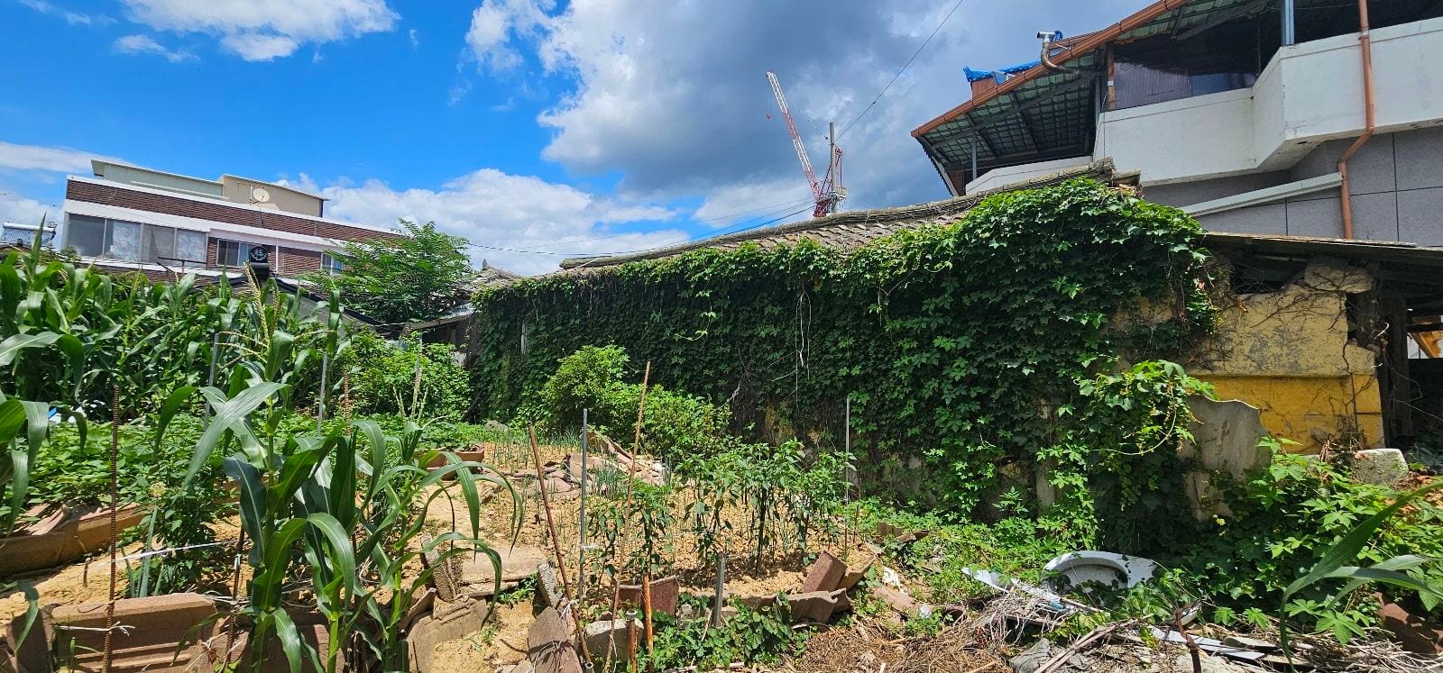 *Affordable house needing full renovation — image 2