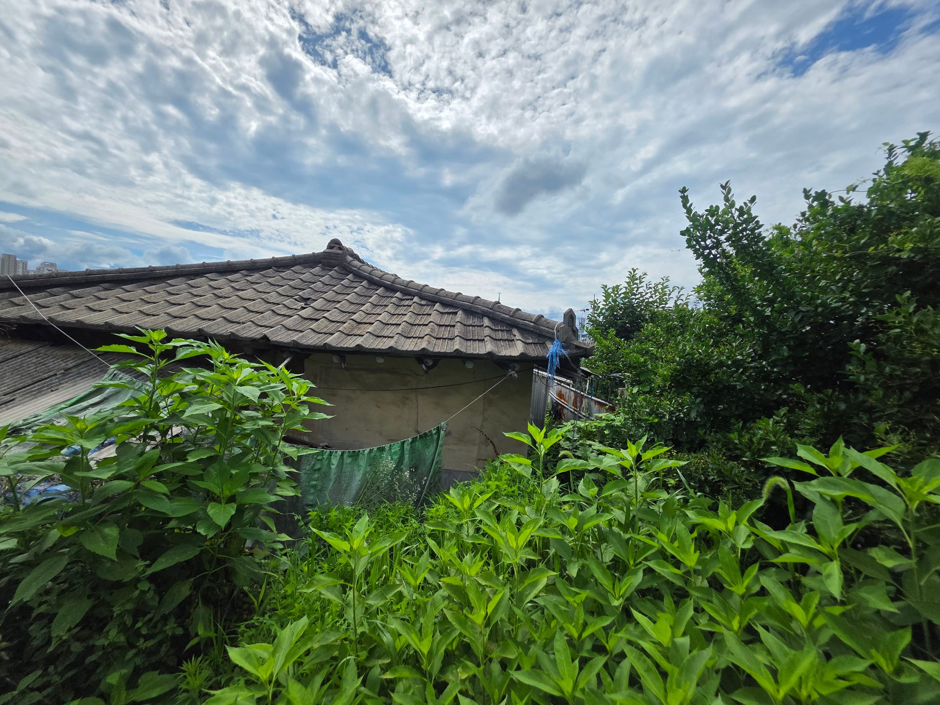 House Adjacent to Jecheon Station
