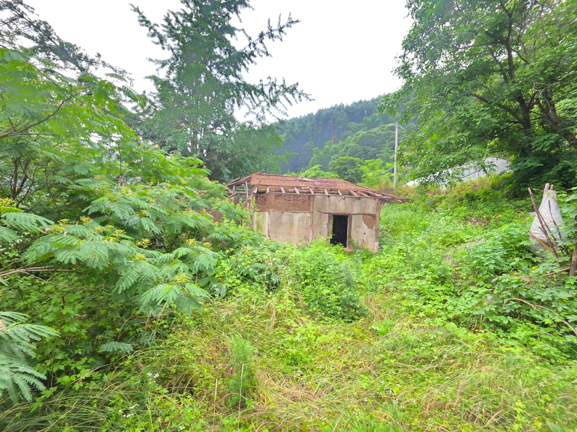 House Below the Mountain — image 10
