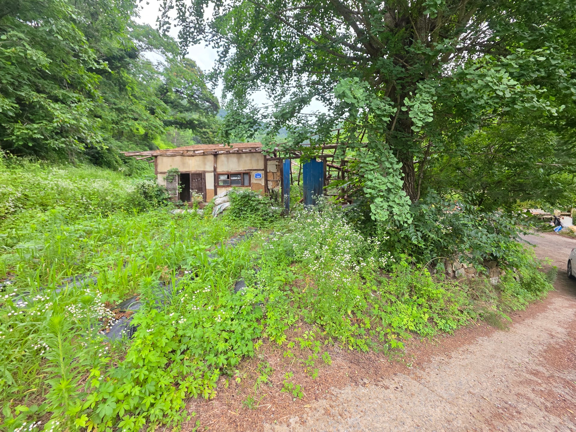 House Below the Mountain — image 15
