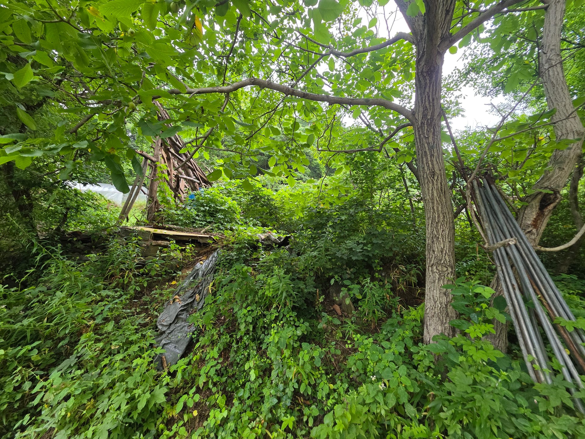 House Below the Mountain — image 2