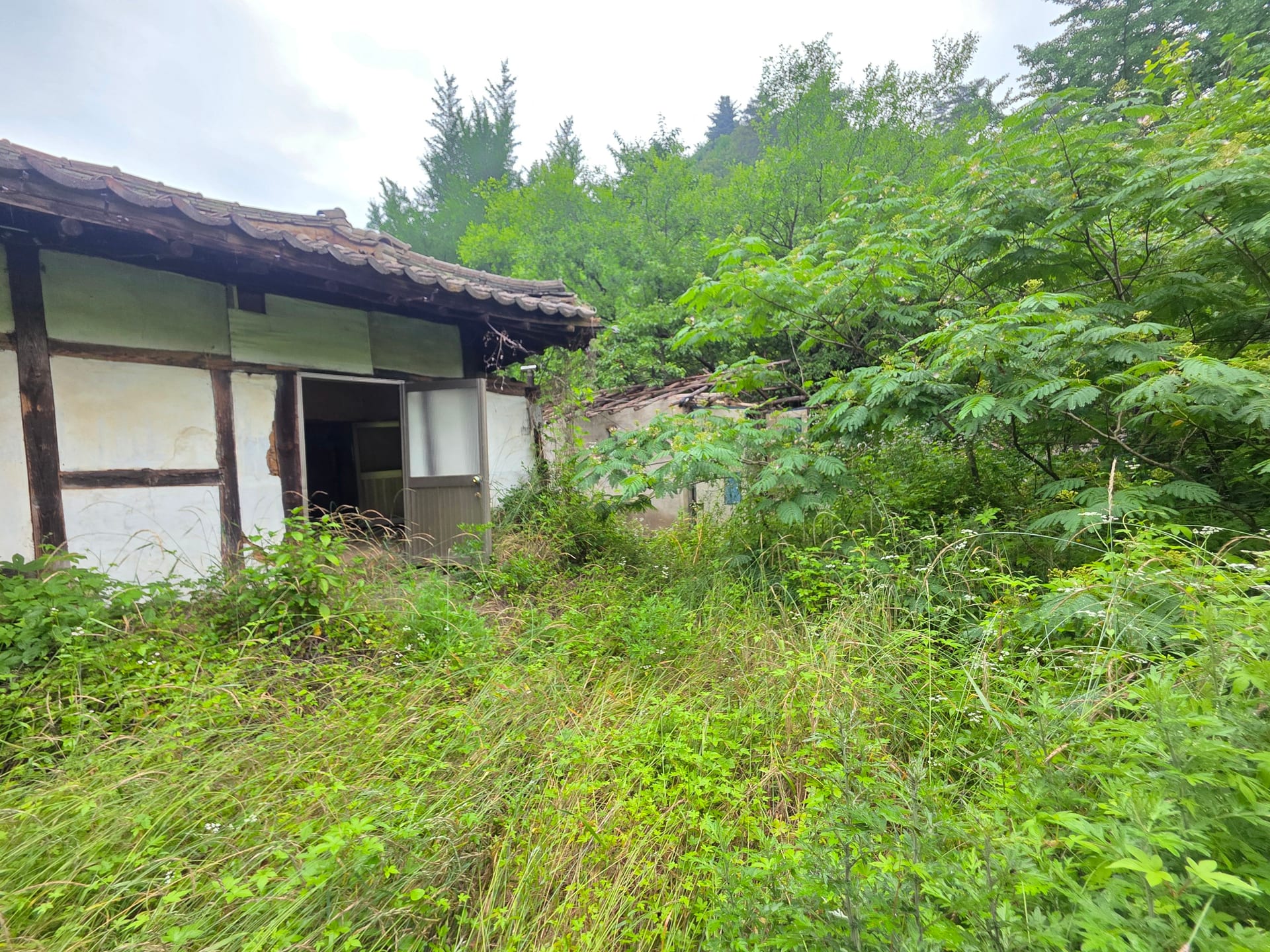 House Below the Mountain — image 6
