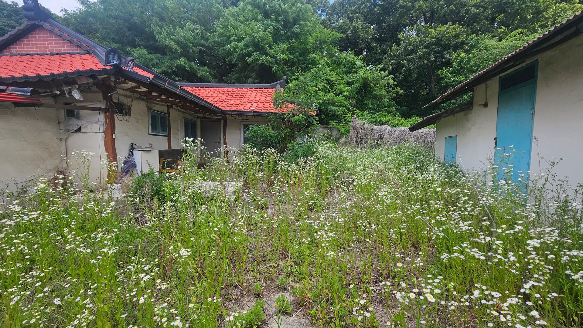 Land 455 pyeong, 4 buildings, demolition possible, remodeling needed — image 3