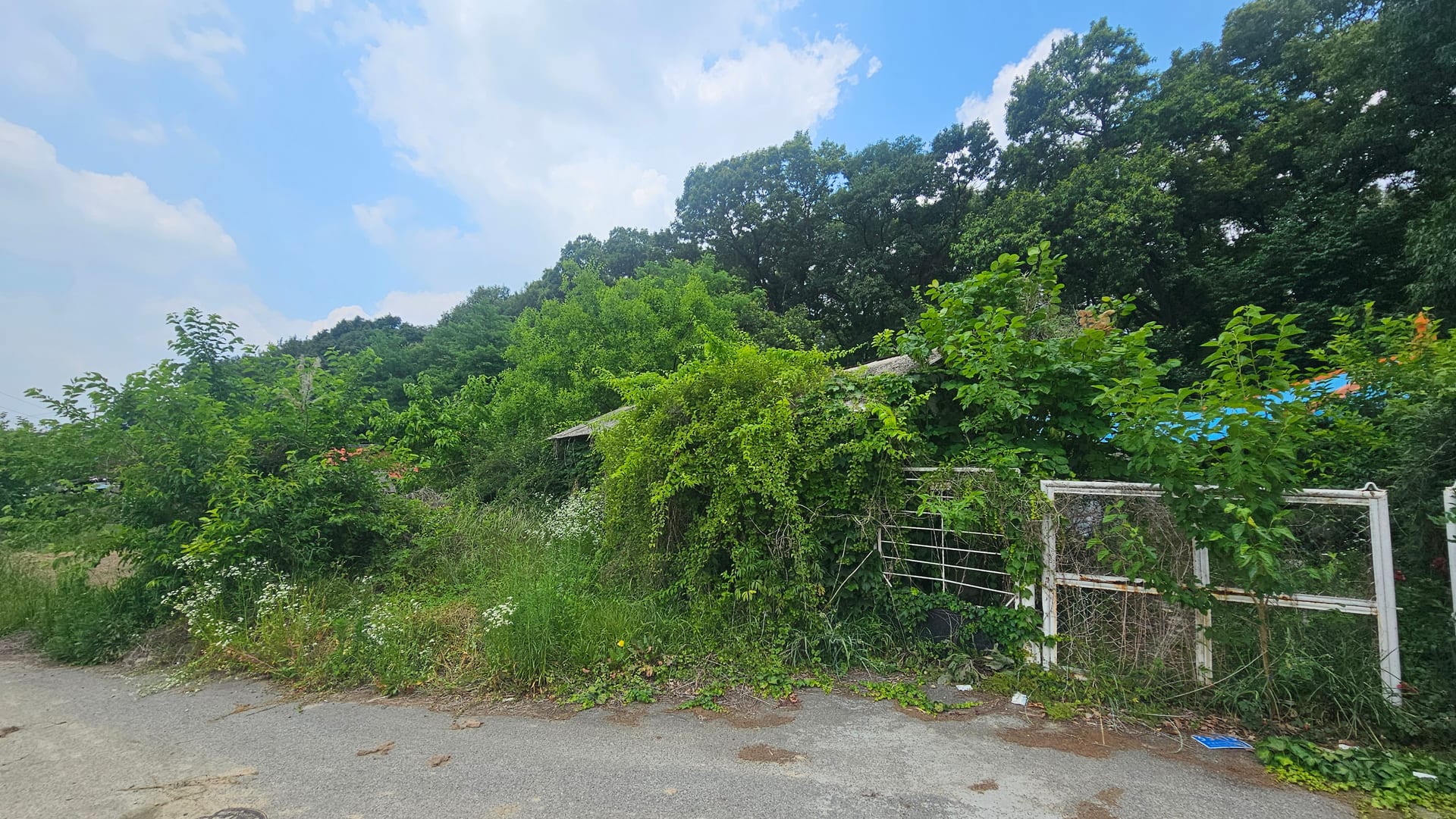 Land 455 pyeong, 4 buildings, demolition possible, remodeling needed — image 4