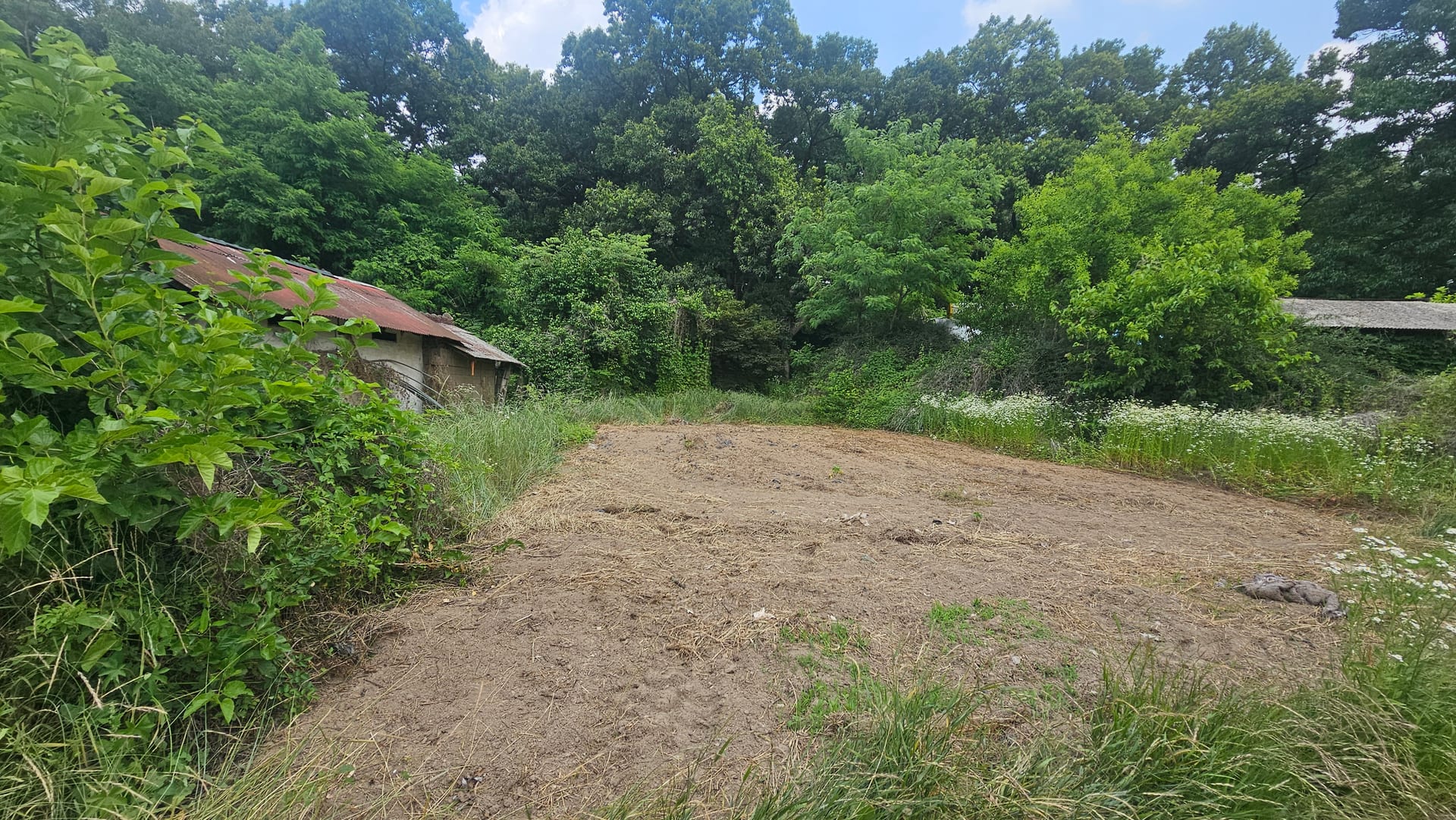 Land 455 pyeong, 4 buildings, demolition possible, remodeling needed — image 5