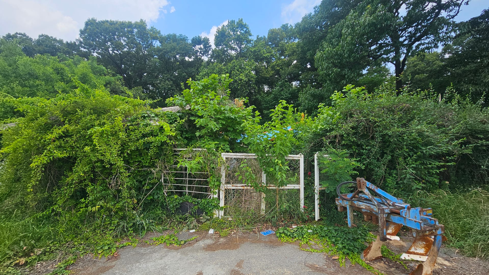 Land 455 pyeong, 4 buildings, demolition possible, remodeling needed — image 6