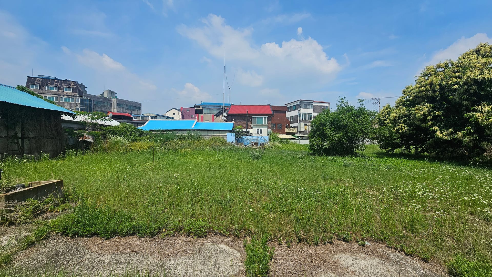 Janghowon Downtown